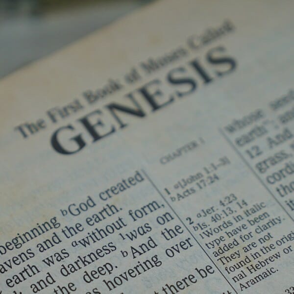 bible-genesis_600x600